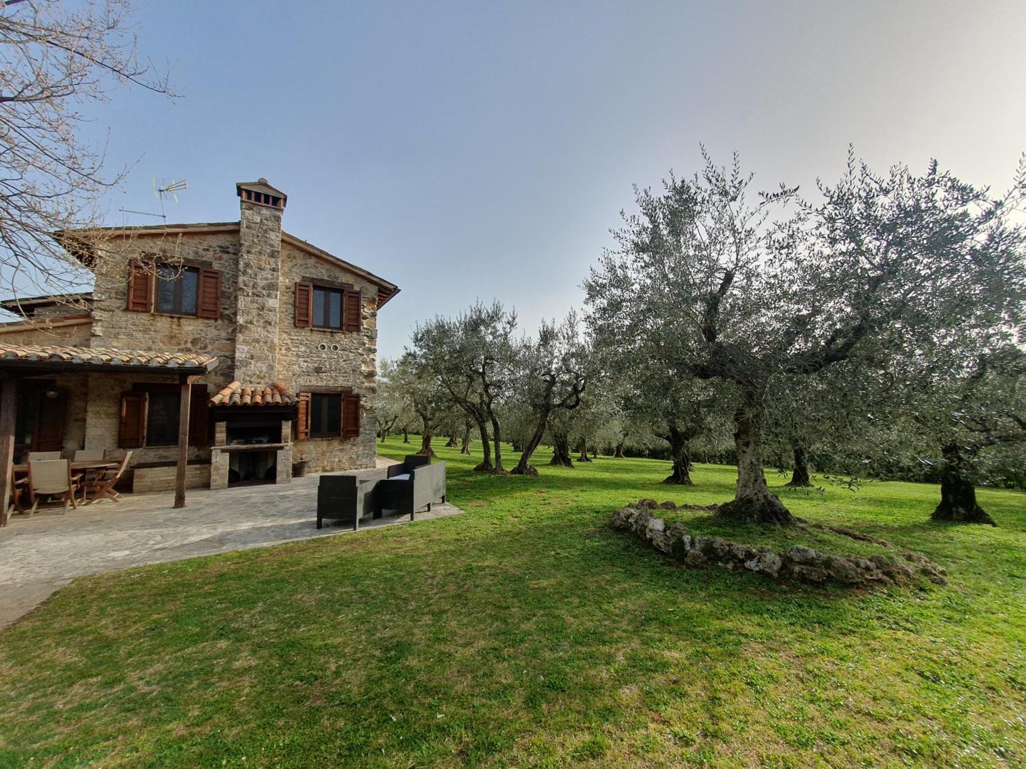 Villa Lisabetta Montecchio  Eksteriør billede